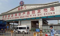 ổ dịch covid-19 lớn bùng phát, bắc kinh áp dụng "cơ chế thời chiến" hình 2