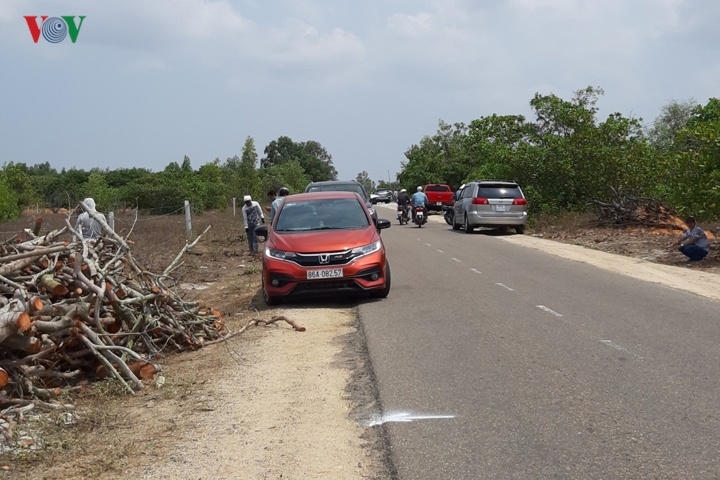 du an san bay phan thiet ra sao cung con sot dat? hinh 16
