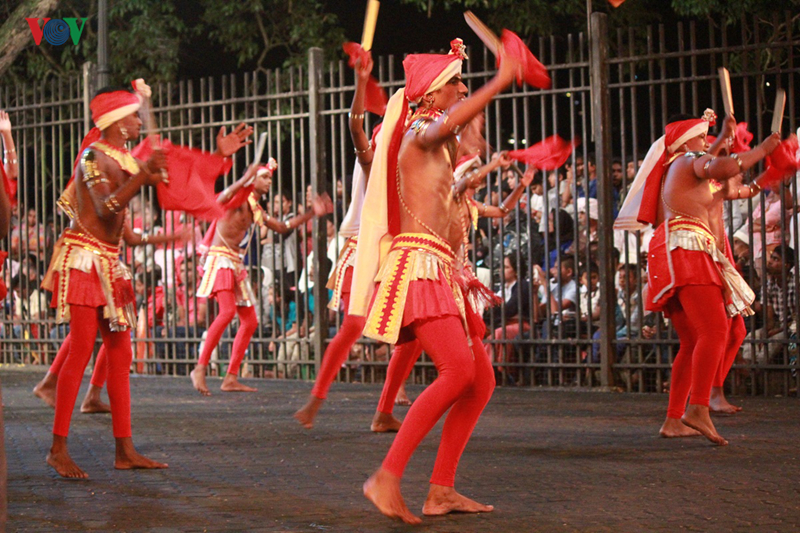 can canh le hoi phat giao lon nhat tai sri lanka hinh 9