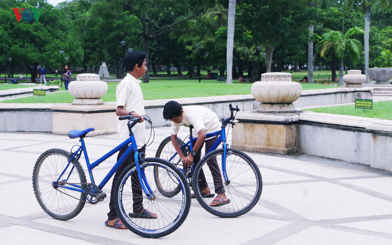 colombo tro lai voi ve binh yen von co sau vu khung bo kinh hoang hinh 22