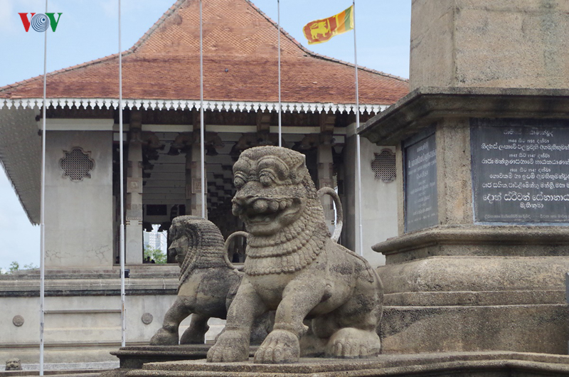 colombo tro lai voi ve binh yen von co sau vu khung bo kinh hoang hinh 3