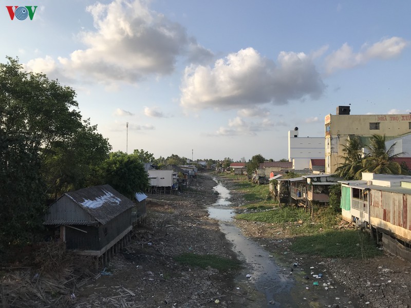 san xuat phu thuoc thoi tiet, han han o ca mau dang gay hai khon luong hinh 1