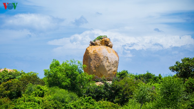 bien co thach mua khong reu: kham pha ve dep hoang so an giau  hinh 12