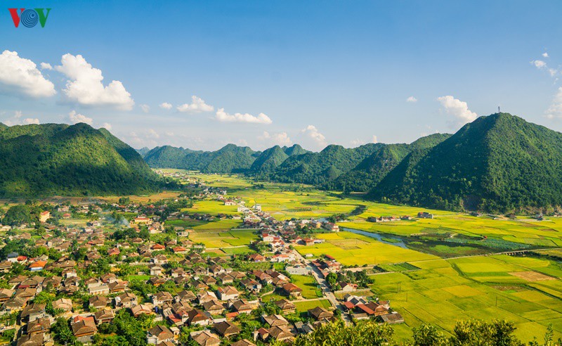 bac son ruc ro mua vang hinh 14