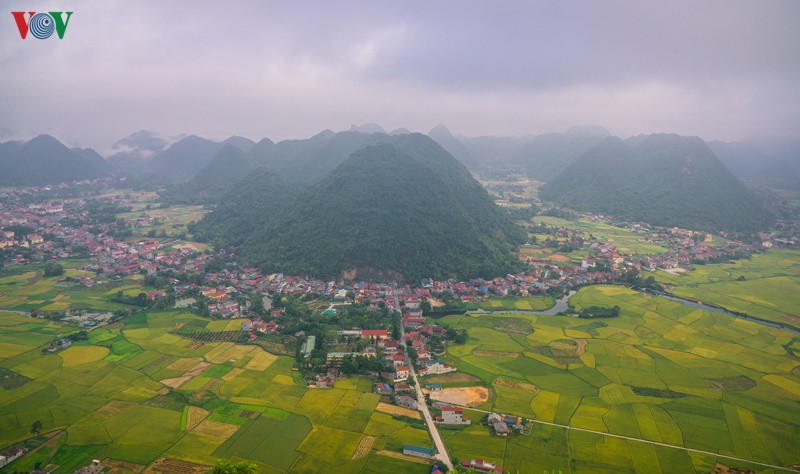bac son ruc ro mua vang hinh 15