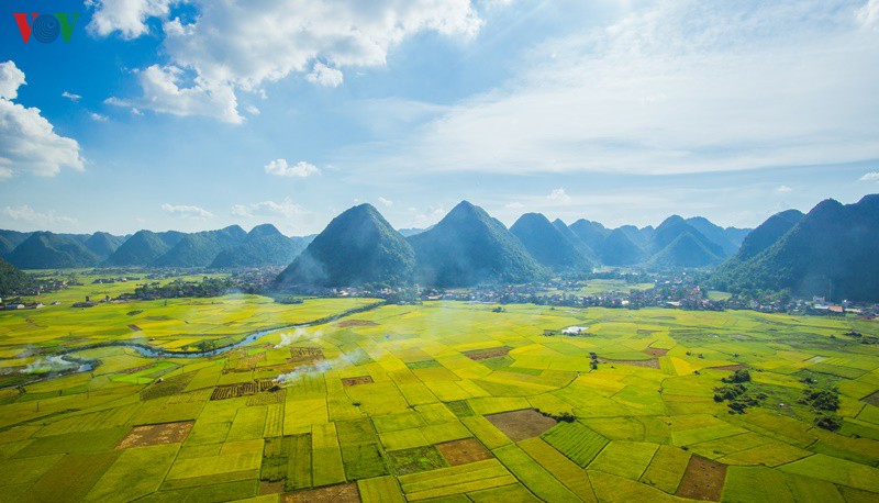 bac son ruc ro mua vang hinh 2