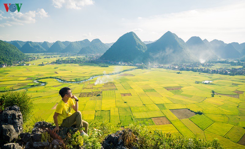 bac son ruc ro mua vang hinh 3