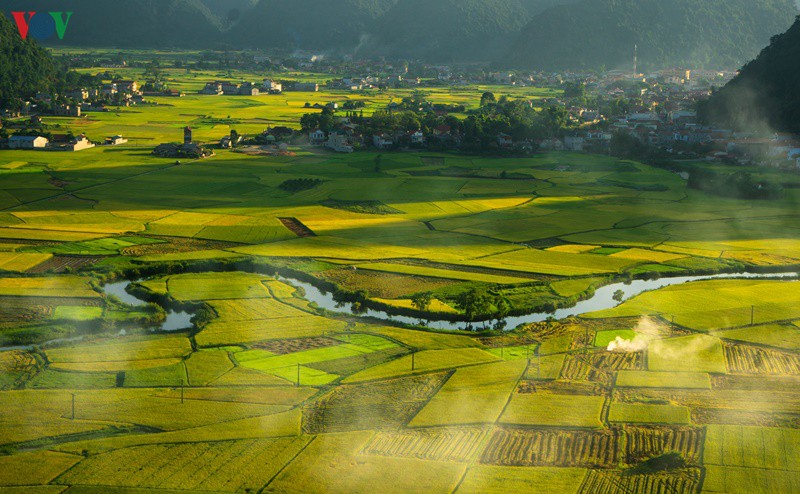 bac son ruc ro mua vang hinh 5