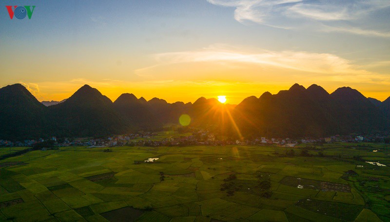 bac son ruc ro mua vang hinh 7