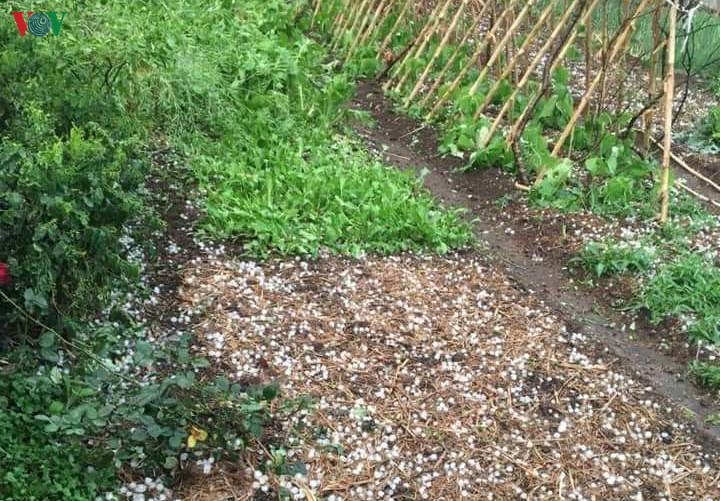 anh: mua da trang nhu tuyet phu kin mat dat o lai chau hinh 12