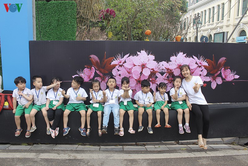 co gi o le hoi hoa anh dao nhat ban ma thu hut du khach den the? hinh 10