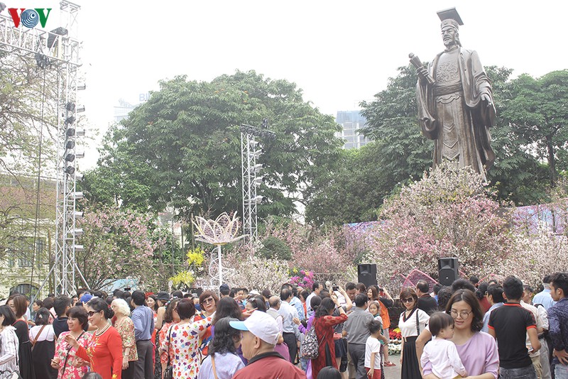 co gi o le hoi hoa anh dao nhat ban ma thu hut du khach den the? hinh 1