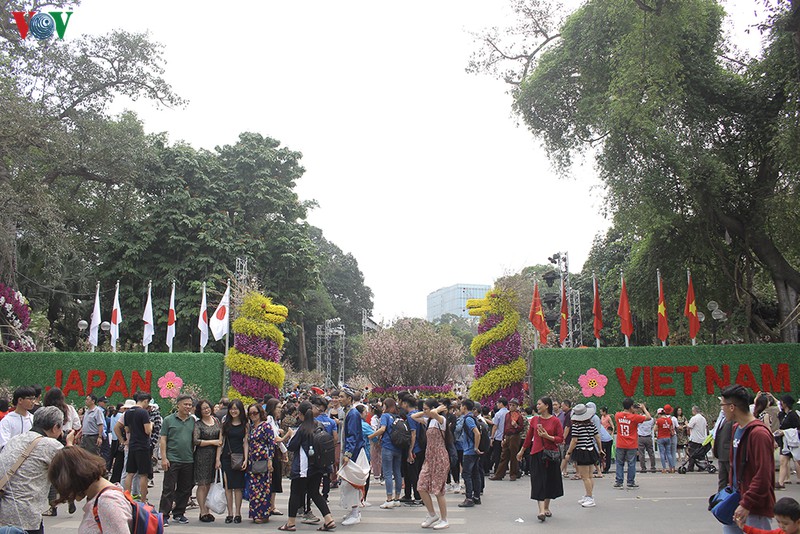 co gi o le hoi hoa anh dao nhat ban ma thu hut du khach den the? hinh 2
