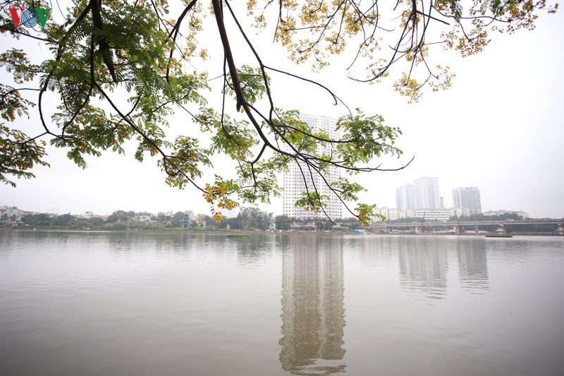me man ngam hoa diep tha dang ben mat ho ha noi hinh 1