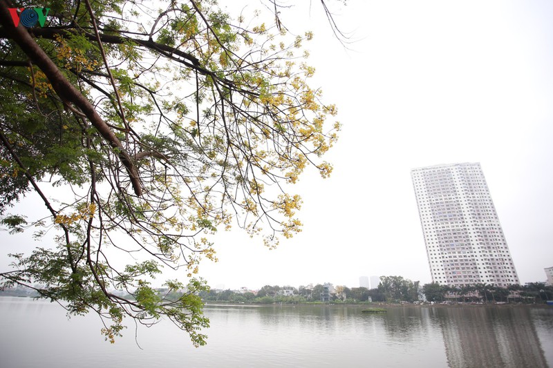 me man ngam hoa diep tha dang ben mat ho ha noi hinh 3