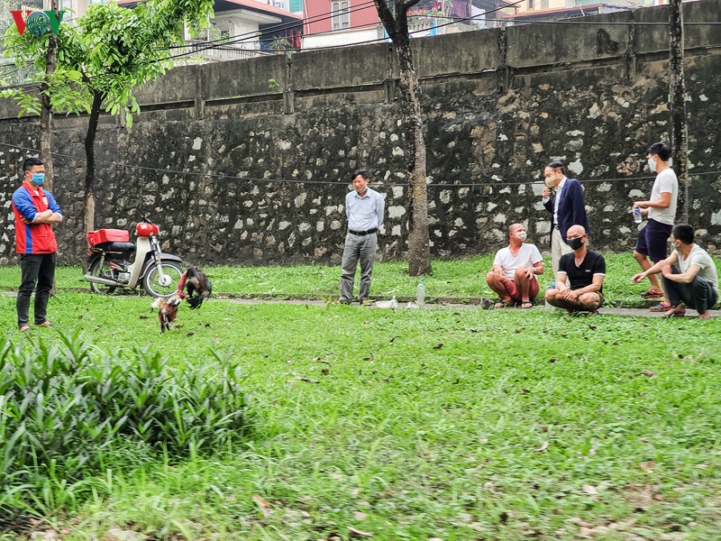 ngay thu 11 cach ly xa hoi: nhieu nguoi ha noi van chu quan ngoai duong hinh 17