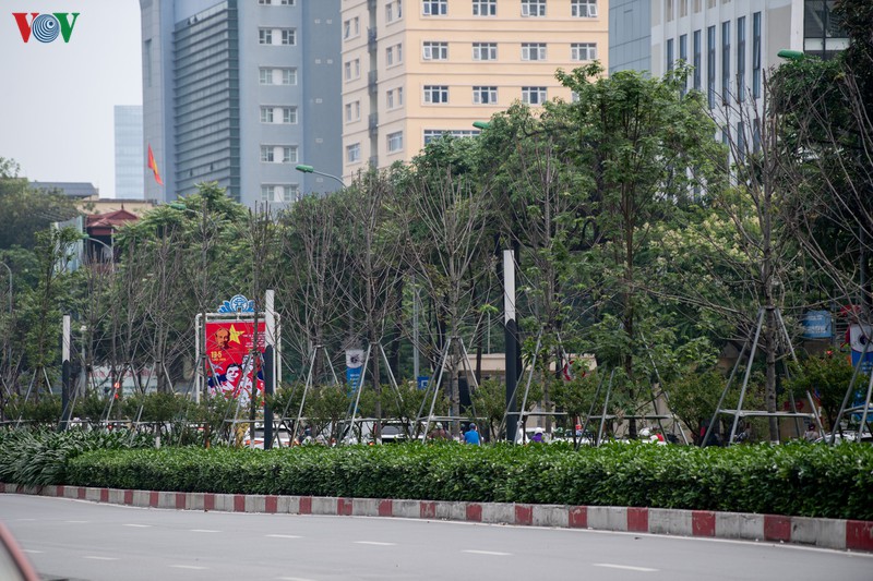 hang cay phong la do tro trui, thieu suc song giua nang he ha noi hinh 8