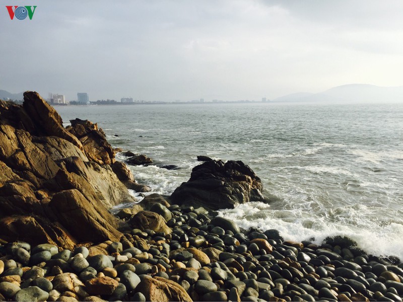 goi y lich trinh an choi chi tiet nhat tai pho bien quy nhon hinh 14
