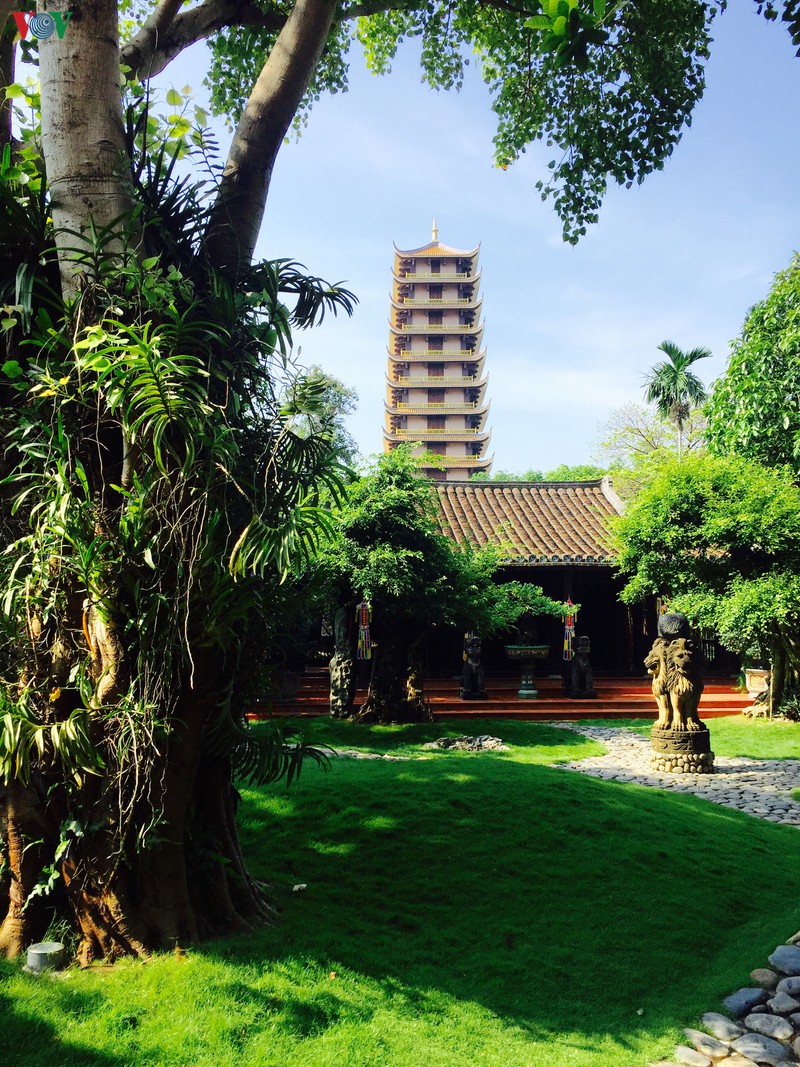 goi y lich trinh an choi chi tiet nhat tai pho bien quy nhon hinh 1