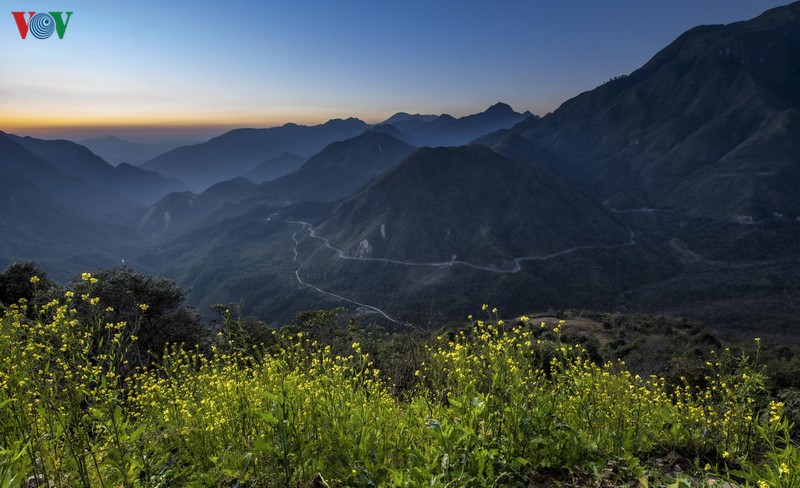 sa pa dep ngat ngay khi mua xuan ve hinh 1