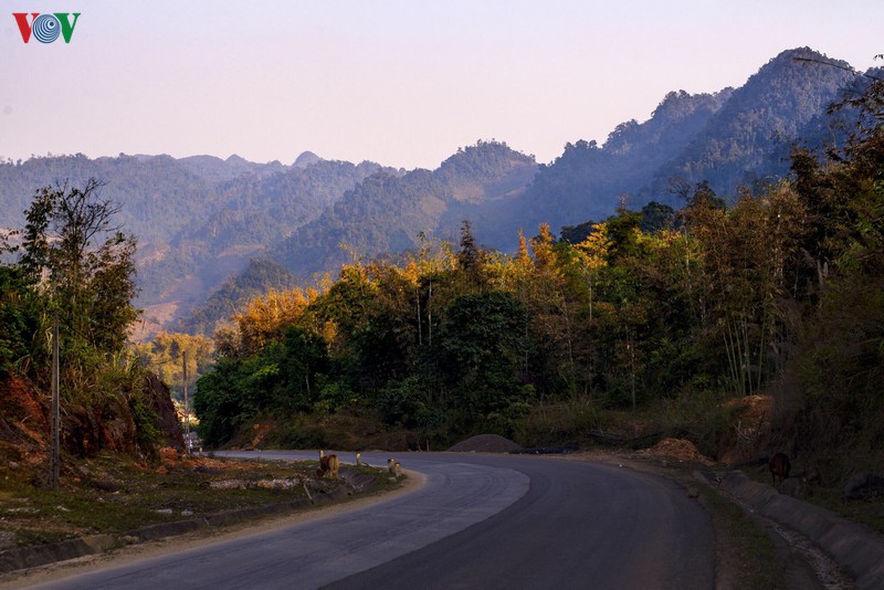 len moc chau ngam sac hoa ruc ro khi mua xuan ve hinh 1