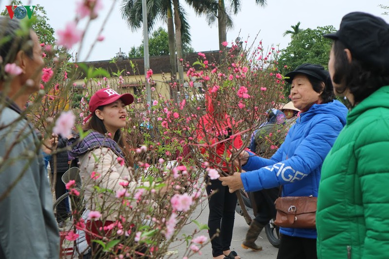 sac xuan tren pho phuong ha noi hinh 11