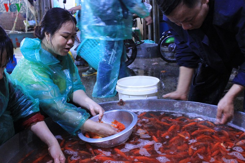 cho ca so thuong nhon nhip truoc tet ong cong ong tao hinh 7