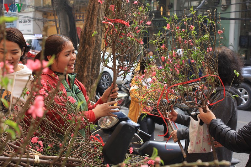 ngap tran khong khi tet co truyen tren pho bich hoa phung hung hinh 16
