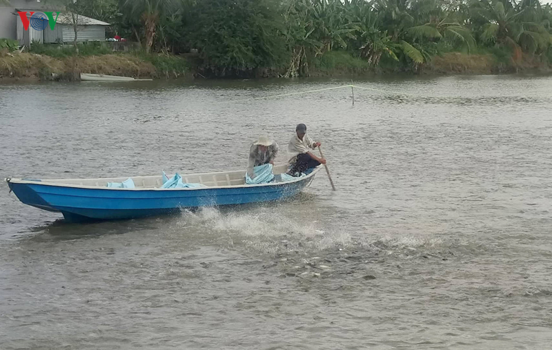 doanh nghiep vung dbscl can nam bat co hoi khi evfta thong qua hinh 5
