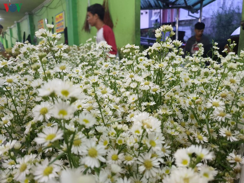 kham pha cho hoa lon nhat dong nam a giua thu do jakarta (indonesia) hinh 10