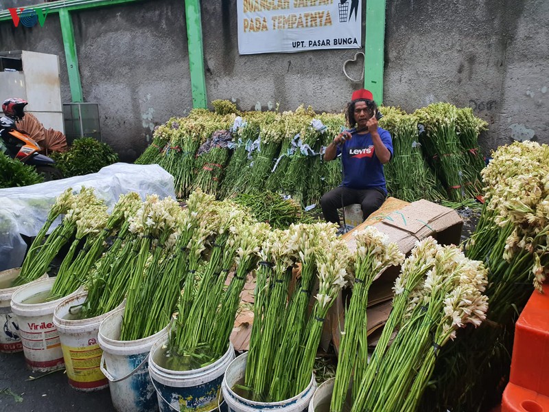 kham pha cho hoa lon nhat dong nam a giua thu do jakarta (indonesia) hinh 15
