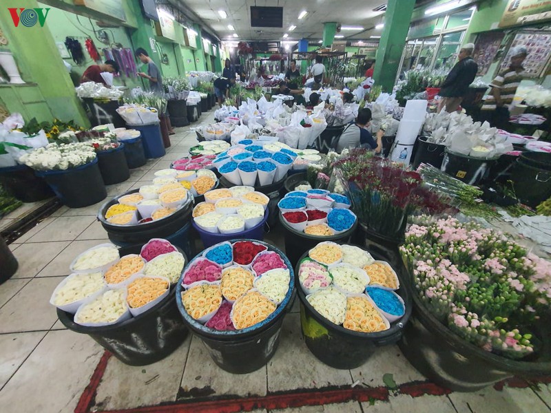 kham pha cho hoa lon nhat dong nam a giua thu do jakarta (indonesia) hinh 1