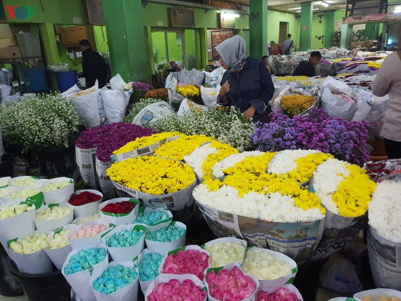 kham pha cho hoa lon nhat dong nam a giua thu do jakarta (indonesia) hinh 2
