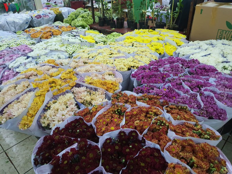 kham pha cho hoa lon nhat dong nam a giua thu do jakarta (indonesia) hinh 5