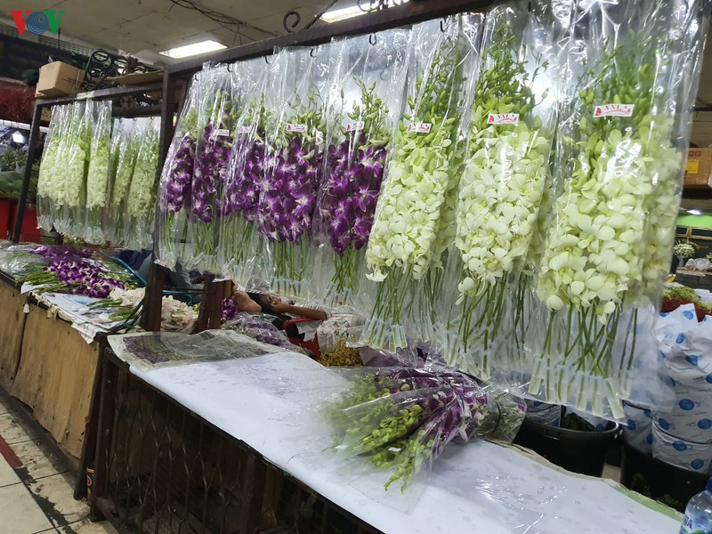 kham pha cho hoa lon nhat dong nam a giua thu do jakarta (indonesia) hinh 6