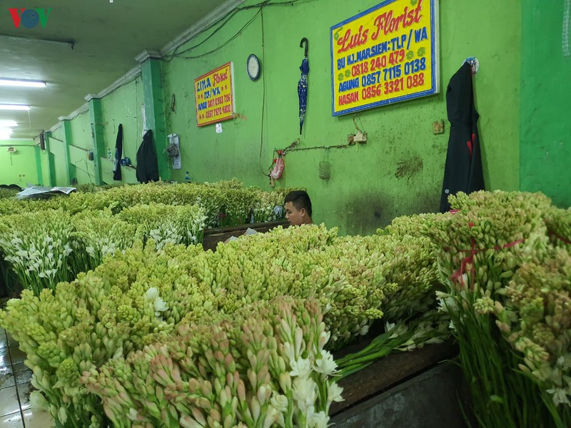 kham pha cho hoa lon nhat dong nam a giua thu do jakarta (indonesia) hinh 7