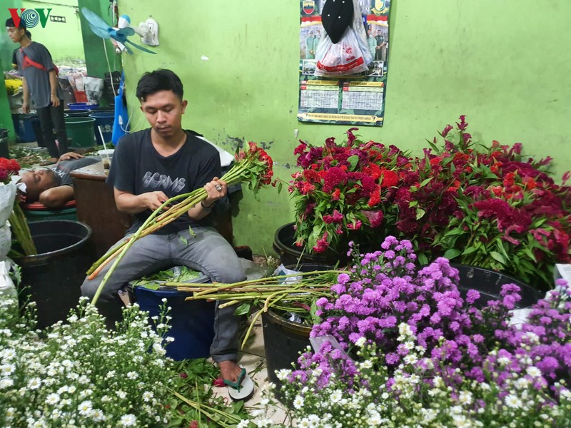kham pha cho hoa lon nhat dong nam a giua thu do jakarta (indonesia) hinh 9