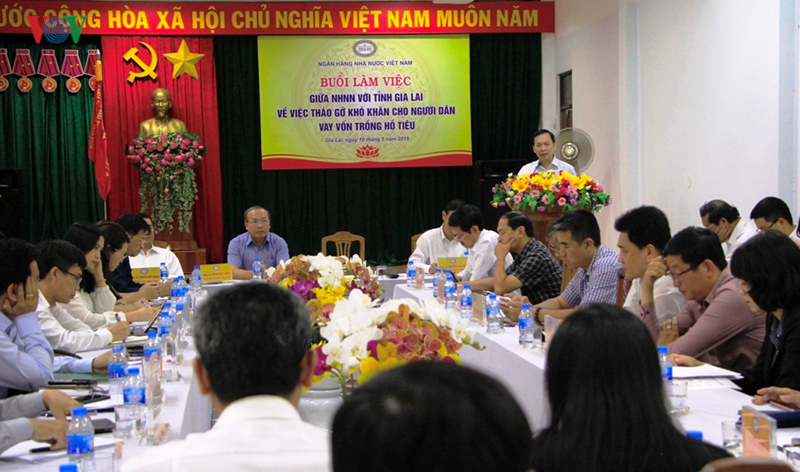 tim giai phap thao go kho khan cho nong dan san xuat ho tieu o gia lai hinh 1