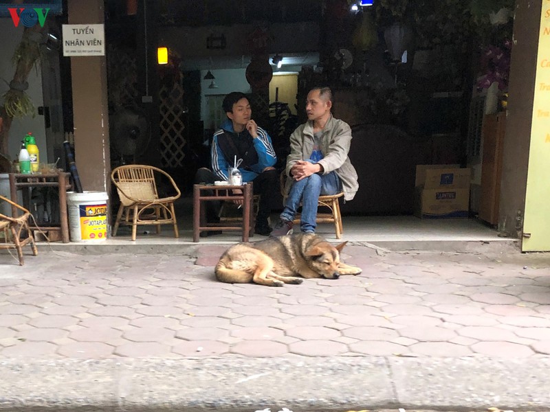 nhieu cua hang o ha noi van tim cach kinh doanh, phot lo "lenh cam" hinh 4