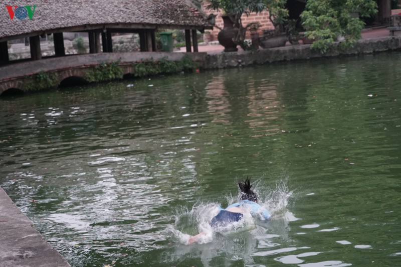 anh: hiem hoa tu nhung cu nhay lon dau tai ho nghin tuoi o ha noi hinh 8