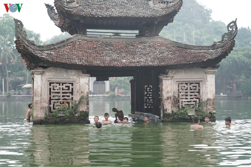 anh: hiem hoa tu nhung cu nhay lon dau tai ho nghin tuoi o ha noi hinh 2
