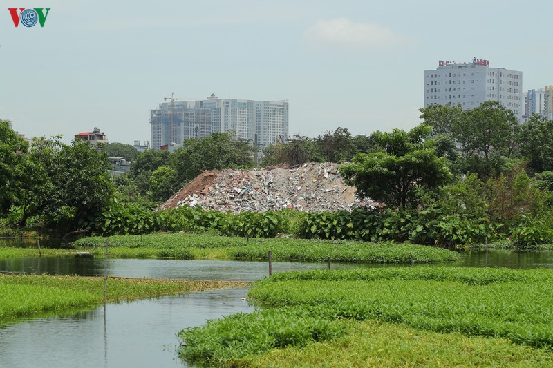 nang nong, bai rac tu phat o ha noi boc mui hoi thoi, dan buc xuc  hinh 8