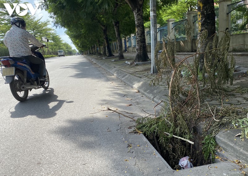ha noi: hang loat ong cong, ho ga mat nap, "bay" nguoi dan tai pho tan my hinh 2