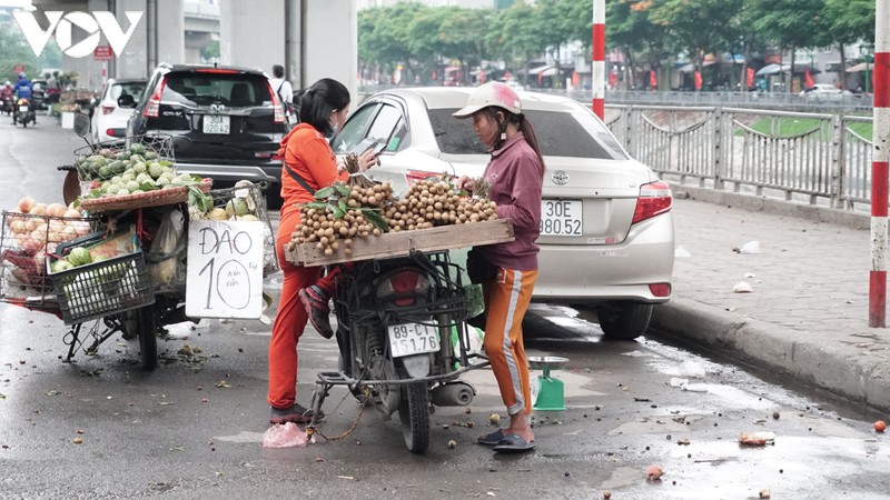 rac thai, do xe tu phat doc tuyen duong sat tren cao cat linh - ha dong hinh 9