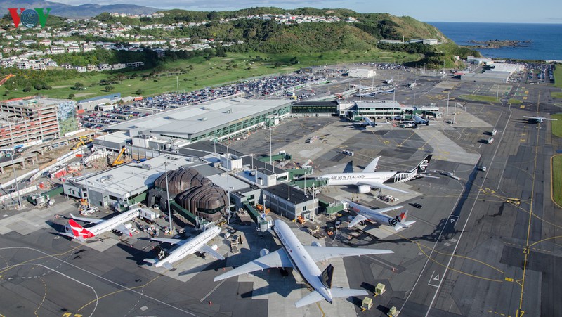 du lich giua new zealand va australia co the bat dau tu thang 9/2020 hinh 1