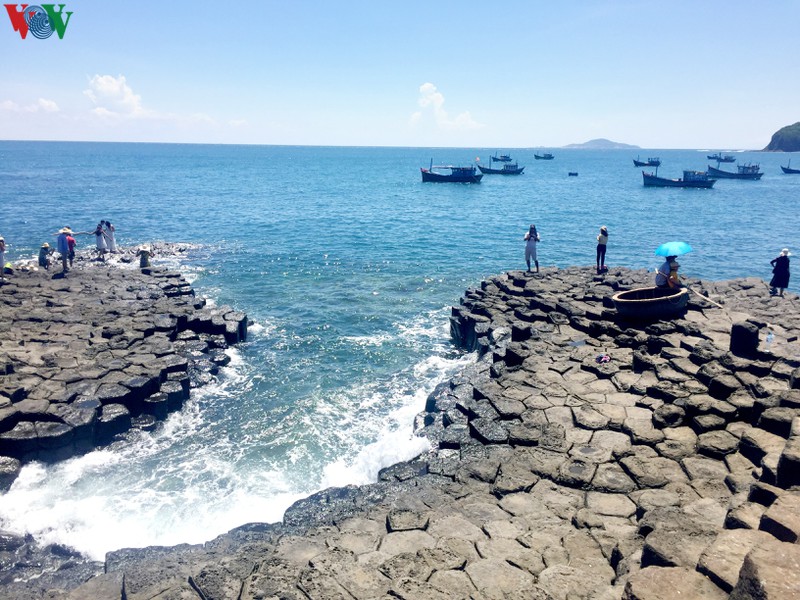 phu yen tam dong cua cac diem tham quan tu 29/7 do lo ngai dich benh hinh 1