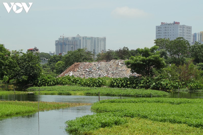 lai noi ve chuyen y thuc giua mua dich covid-19 hinh 1
