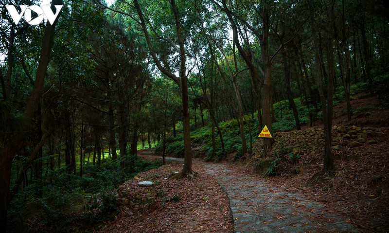 chieu an yen o chua bo da hinh 4