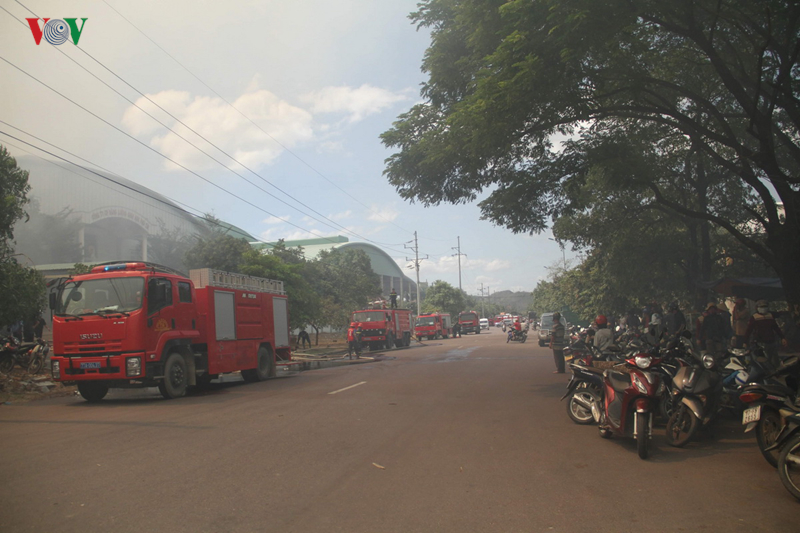 gan 9.000 m2 nha xuong cong ty nang luong sinh hoc bi lua thieu rui hinh 3