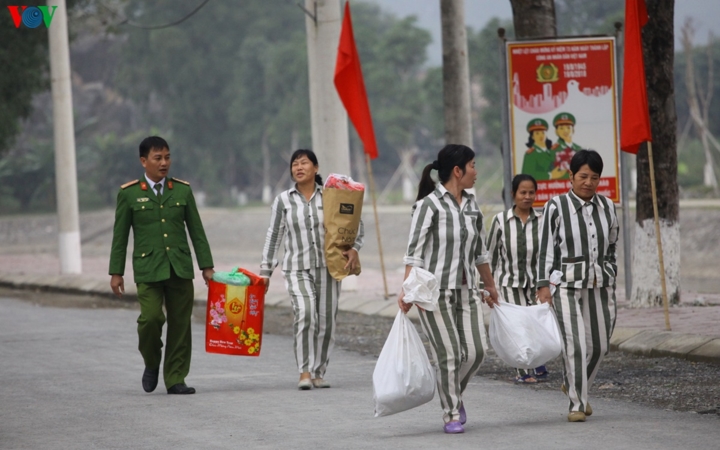 anh: pham nhan trai ninh khanh goi banh chung, trang tri trai don tet hinh 1